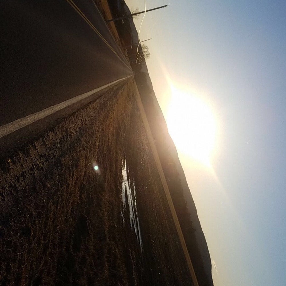 Meet your Posher, Gina